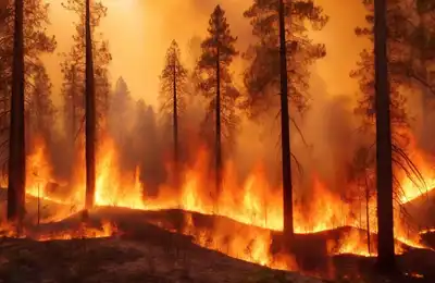 Achtung vor sehr hoher Wald- und Flächenbrandgefahr